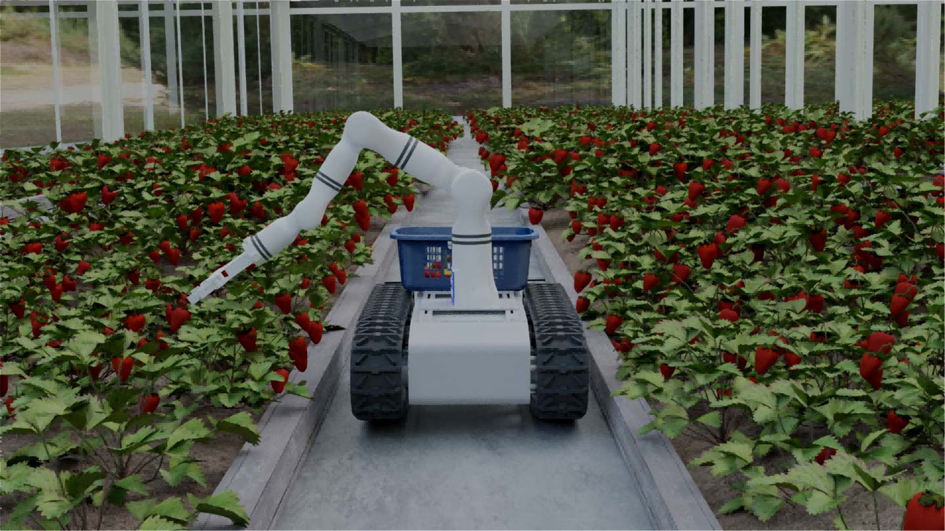 Autonomous technology solutions