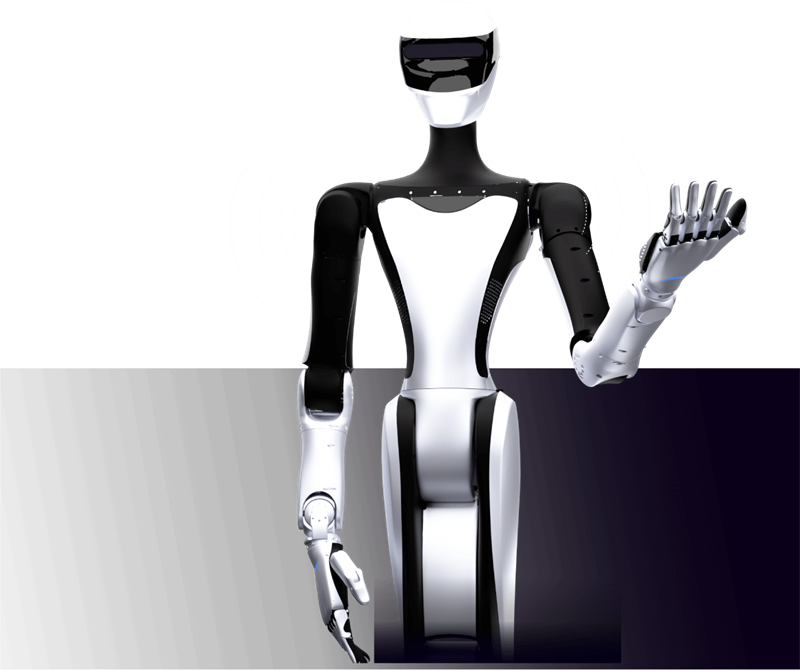 Slim Waist Design Q5